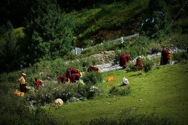 392全域無垃圾行動(dòng).JPG
